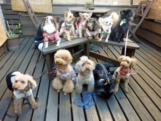 �Q�O�P�Q�N�����`�Y�N��