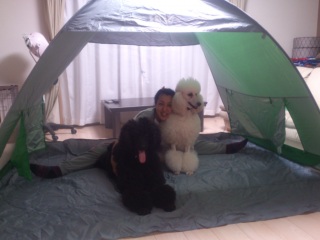 5��4�����̂Ƃ��₳��C�x���g