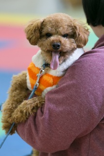 2014.01.26�w�O���x