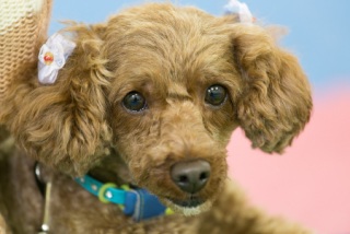 2014.01.26�w�O���x