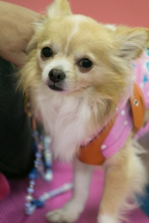 2014.01.26�w�O���x