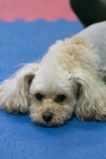 2014.01.26�w�O���x