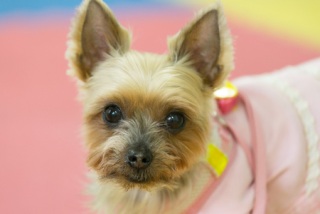 2014.01.26�w�O���x