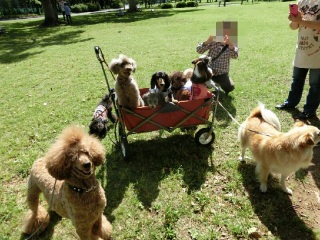 ��h�b�O���K