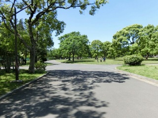 ��h�b�O���K