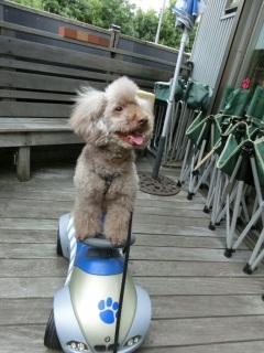 ���b�X����@�O��