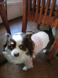 �w�q�`�h�m�c�n�f�r�@�b�`�e�d�x2015.1.11