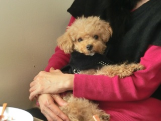 �w�q�`�h�m�c�n�f�r�@�b�`�e�d�x2015.1.11