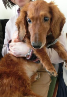 �w�q�`�h�m�c�n�f�r�@�b�`�e�d�x2015.1.11