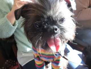 �w�q�`�h�m�c�n�f�r�@�b�`�e�d�x2015.1.11