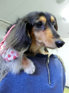 ���M�����[���b�X�����O���@2015.1.25