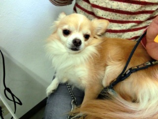 ���M�����[���b�X�����O���@2015.1.25