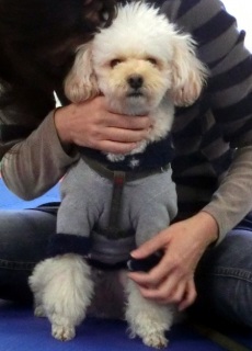 ���M�����[���b�X�����O���@2015.1.25