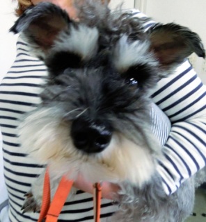 ���M�����[���b�X�����O���@2015.1.25