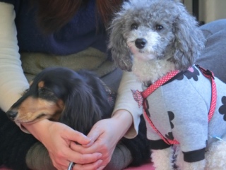 2016016  RAINDOGS CAFE