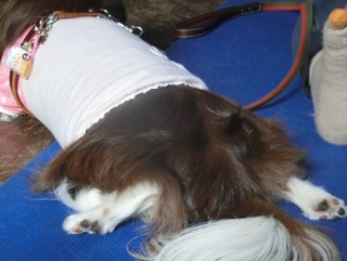 2016016  RAINDOGS CAFE