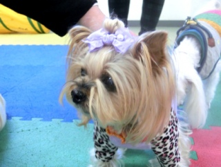 20160124�y�b�g�X�e�[�V�����v�`�m