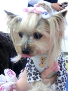 20160124�y�b�g�X�e�[�V�����v�`�m