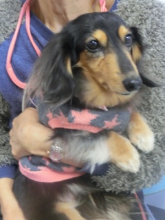 20160124�y�b�g�X�e�[�V�����v�`�m