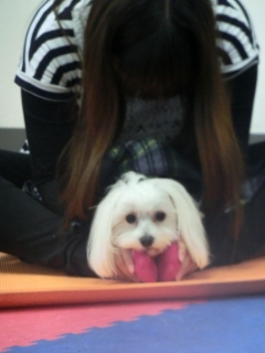 20160124�y�b�g�X�e�[�V�����v�`�m