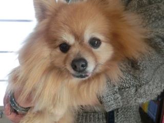 20160131  RAINDOGS CAFE