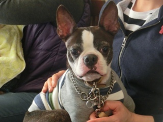 20160131  RAINDOGS CAFE