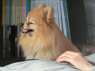 20160131  RAINDOGS CAFE