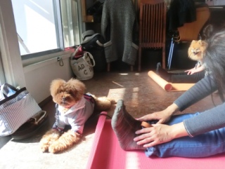 20160131  RAINDOGS CAFE