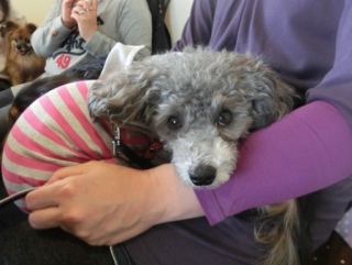 20160213  RAINDOGS CAFE