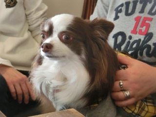 20160214  RAINDOGS CAFE