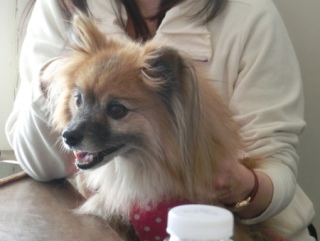 20160214  RAINDOGS CAFE