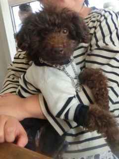 20160214  RAINDOGS CAFE