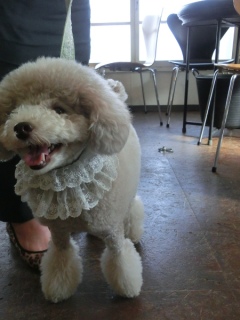 20160214  RAINDOGS CAFE