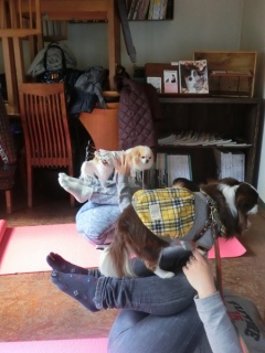 20160214  RAINDOGS CAFE