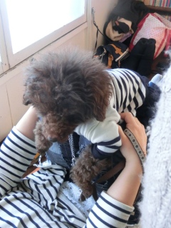 20160214  RAINDOGS CAFE