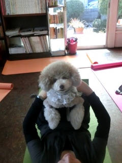 20160214  RAINDOGS CAFE