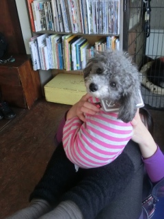 20160214  RAINDOGS CAFE