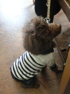 20160214  RAINDOGS CAFE