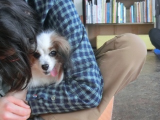 20160221  RAINDOGS CAFE