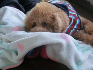 20160221  RAINDOGS CAFE