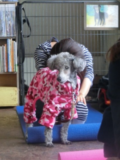 20160221  RAINDOGS CAFE