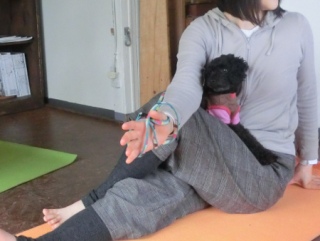 20160221  RAINDOGS CAFE