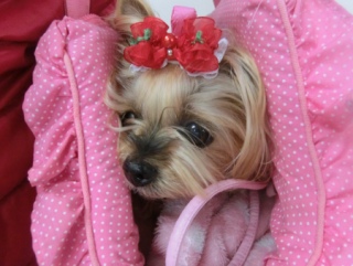 20160228�y�b�g�X�e�[�V�����v�`�m