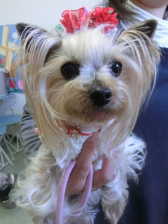 20160228�y�b�g�X�e�[�V�����v�`�m