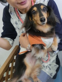 20160228�y�b�g�X�e�[�V�����v�`�m