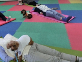 20160228�y�b�g�X�e�[�V�����v�`�m