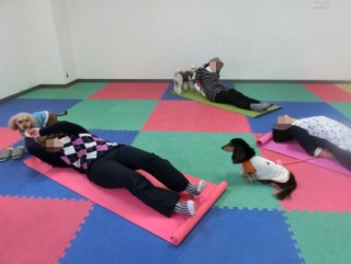 20160228�y�b�g�X�e�[�V�����v�`�m