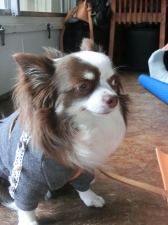 20160312  RAINDOGS CAFE