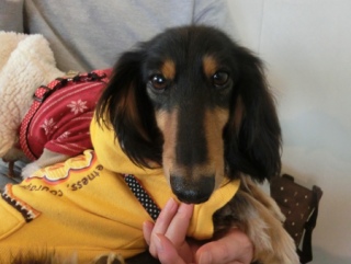 20160312  RAINDOGS CAFE