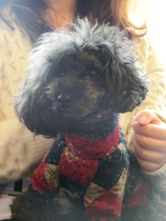 20160312  RAINDOGS CAFE